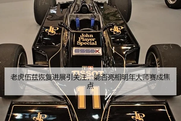 老虎伍兹恢复进展引关注，能否亮相明年大师赛成焦点